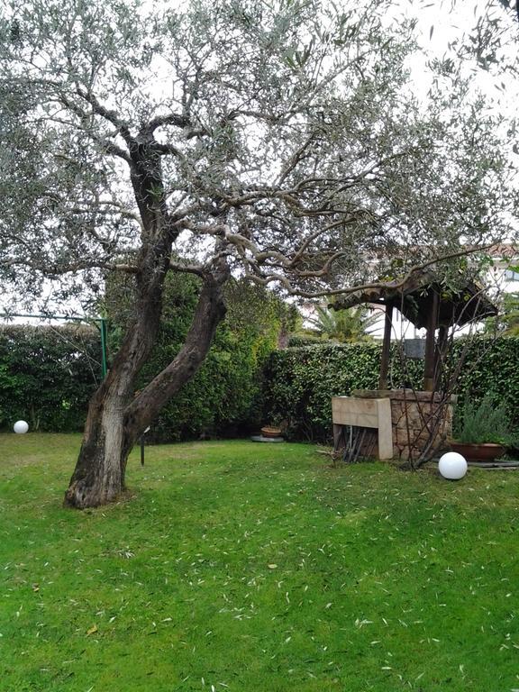 Apartamento Robert House Alguer Exterior foto